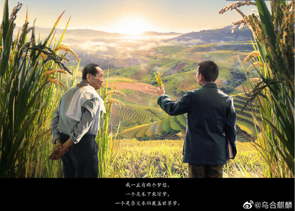 "father of hybrid rice"--Yuan Longping