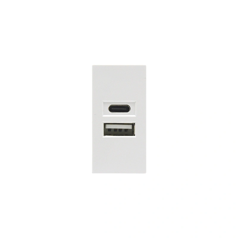 Sinoamigo F21-C2B USB Charger