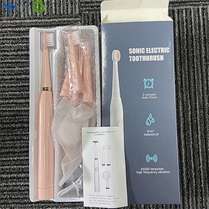 3 in 1 Electric Toothbrush
