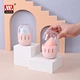 beauty Egg box