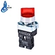 push button switch with pilot indicator
