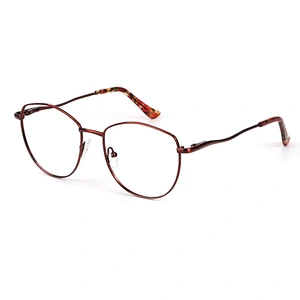 Avant-garde men metal optical frame big size bold color eyewear