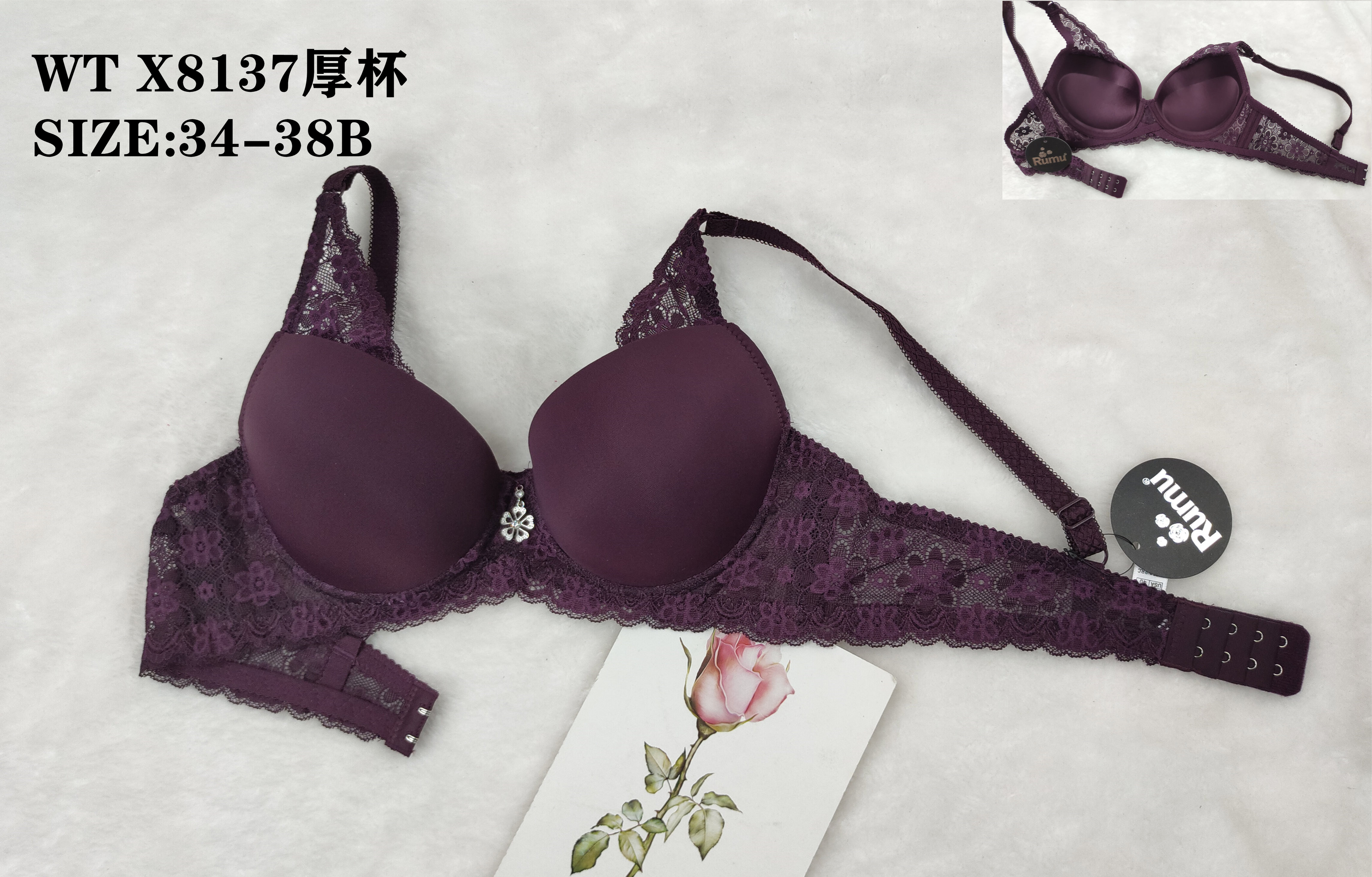 WTX8137厚杯,bra