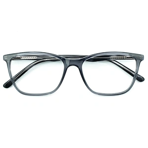 Fashionable Acetate Frames Glasses PC Lens Square Optical Eyewear Glasses