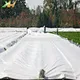 pp non woven spunbonded