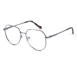 2021 Latest Quality China Wholesale Optical Frame Extra Big Frame Metal Eyeglasses for fashion people
