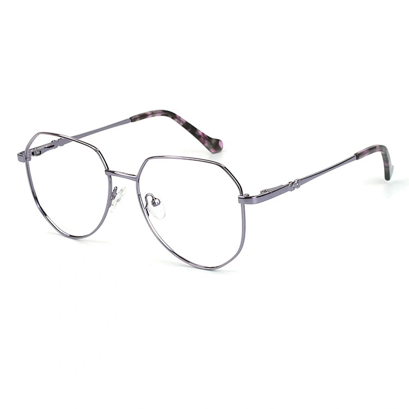 2021 Latest Quality China Wholesale Optical Frame Extra Big Frame Metal Eyeglasses for fashion people