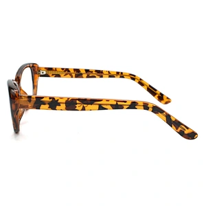 Clear Lens eyeglasses Spectacles CP Optical Frames Eyeglasses demo lens glasses