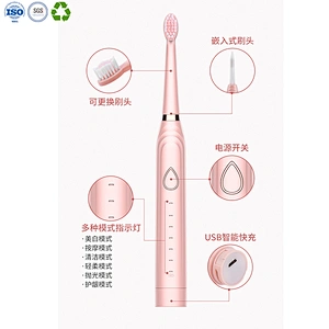 3 in 1 Electric Toothbrush