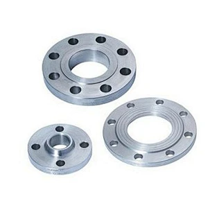 Stainless Steel Flange
