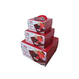 Best quality cake box with handle