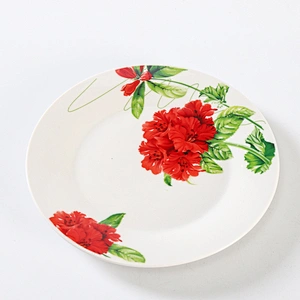 DINNER PLATE /SOUP PLATE