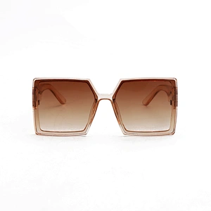 Amazon Hot Sale Ladies Oversized Square Sunglasses Women Designer Glasses Fashion Eyewear Shades UV400 OEM