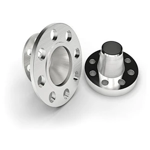 Stainless Steel Flange