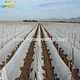 pp non woven spunbonded