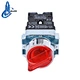 push button switch with pilot indicator