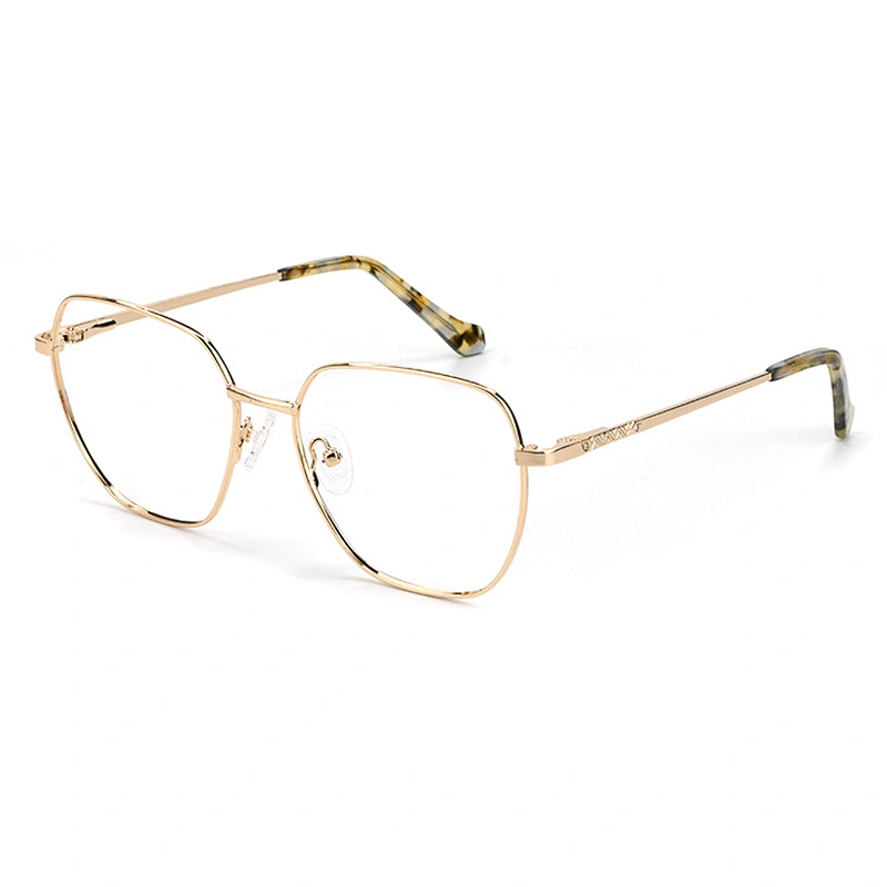 5 color fashionable metal big size optical frame newest design geometry eyewear frame