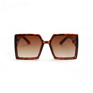 Amazon Hot Sale Ladies Oversized Square Sunglasses Women Designer Glasses Fashion Eyewear Shades UV400 OEM