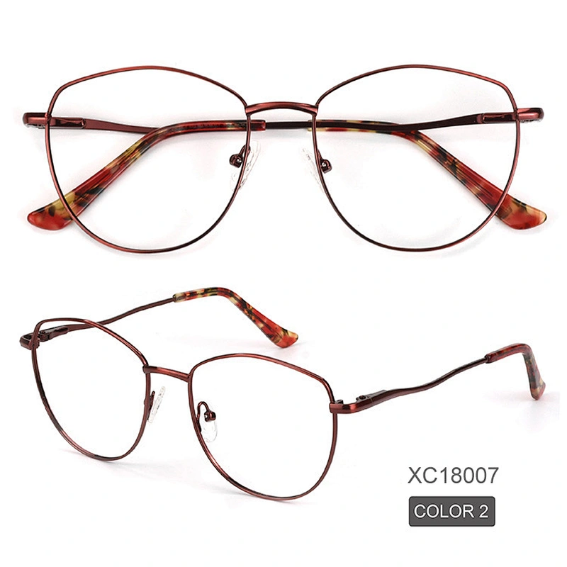 Avant-garde men metal optical frame big size bold color eyewear