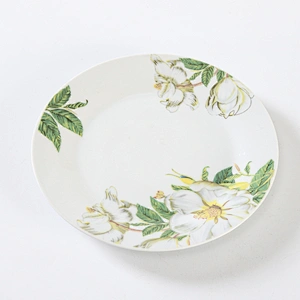 DINNER PLATE /SOUP PLATE