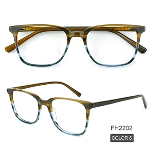 PH2202 New model Color matching optical frame magnet clip glasses wenzhou produce eyeglasses