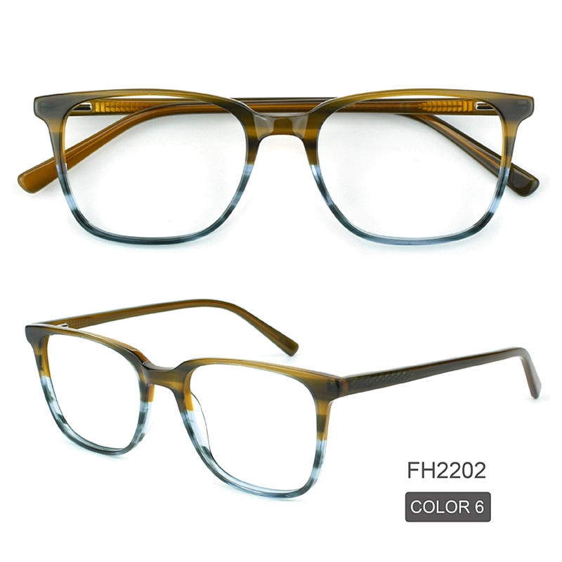 PH2202 New model Color matching optical frame magnet clip glasses wenzhou produce eyeglasses