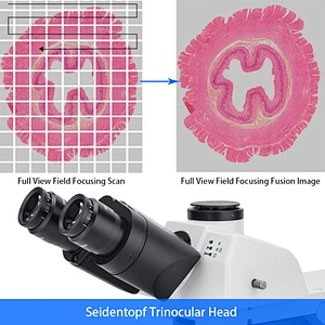 Research Scientific Laboratory Microscope, Motorized Nosepiece + XYZ Stage