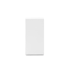 Sinoamigo F1/Electrical Switch 10A