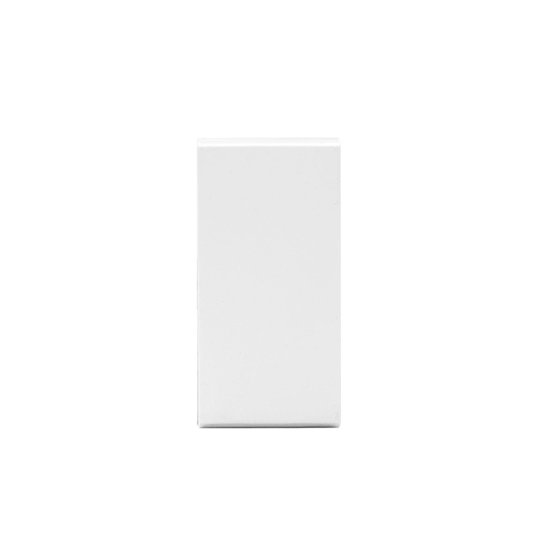 Sinoamigo F1/Electrical Switch 10A