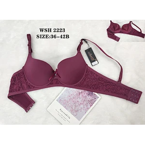 WSH2223