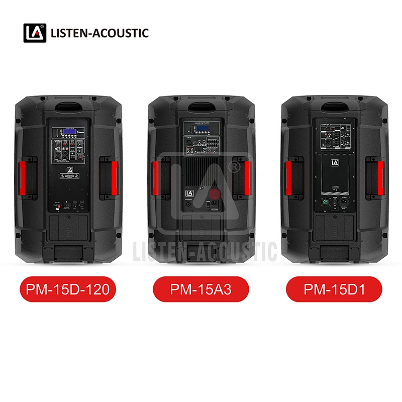 PM-15D1 2-Way Full Range Speaker