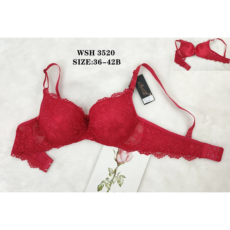 WSH3520