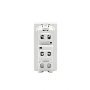 Sinoamigo F1/Electrical Switch 10A