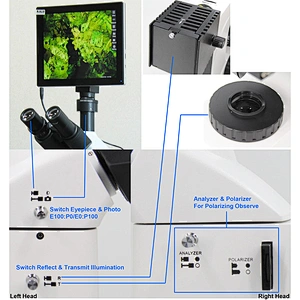Dikey Metalurjik Mikroskop, İlet ve Yansıt, BF/DF, DIC, Polarize