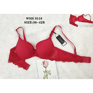 WSH3518