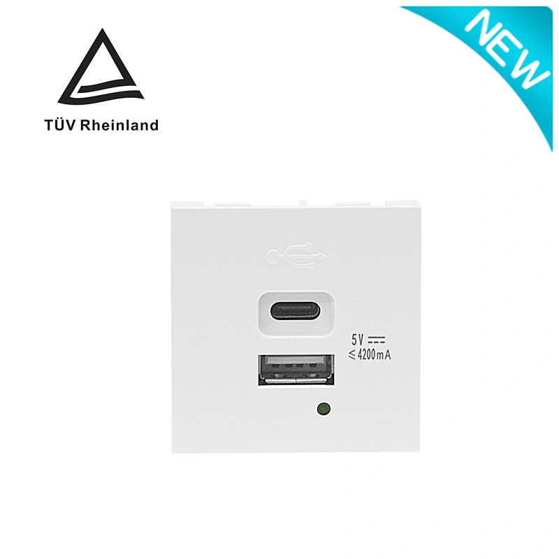 Sinoamigo F21-C6(4.2A) USB Charger