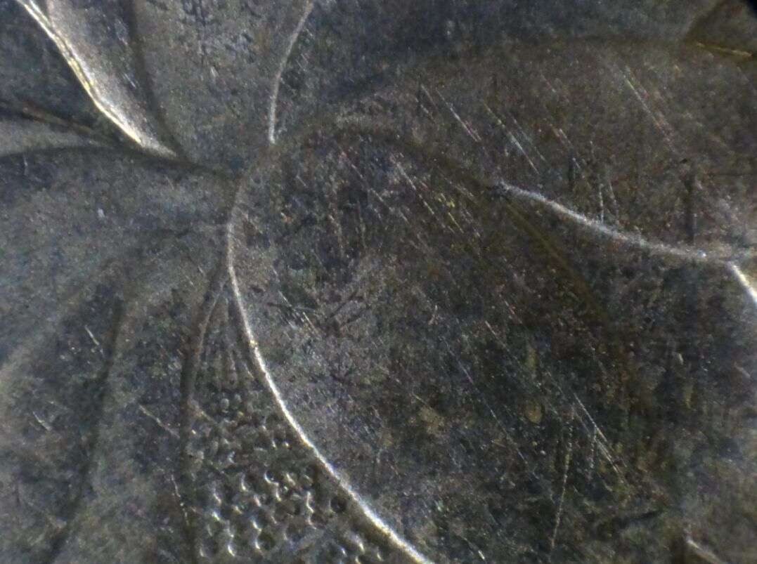 Image00022.jpg