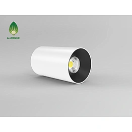 Surface Mounted LED Downlight