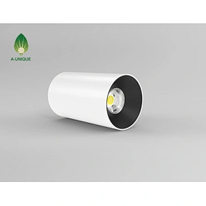 Surface Mounted LED Downlight