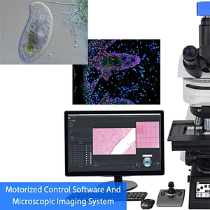 Research Scientific Laboratory Microscope, Motorized Nosepiece + XYZ Stage