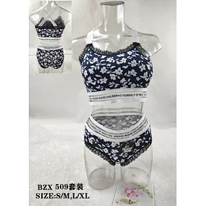 BZX509套装