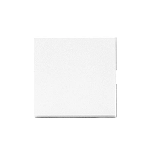 Sinoamigo F2/Electrical Switch 10A
