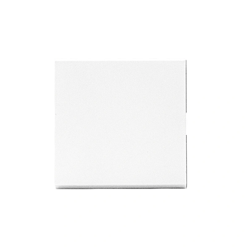 Sinoamigo F2/Electrical Switch 10A