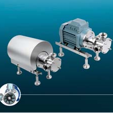 Flexible Impeller Pump.pdf