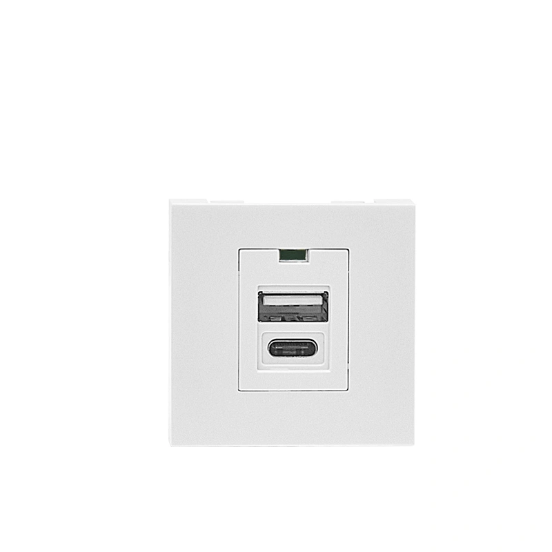 Sinoamigo F21-C4 USB Charger