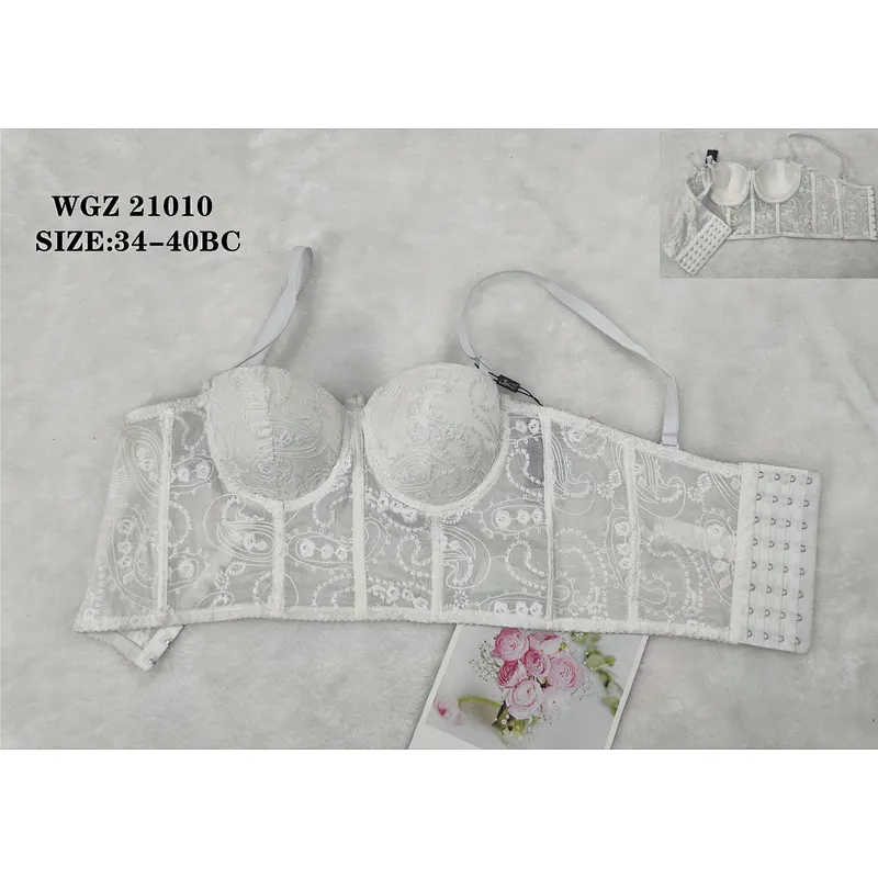 WGZ21010