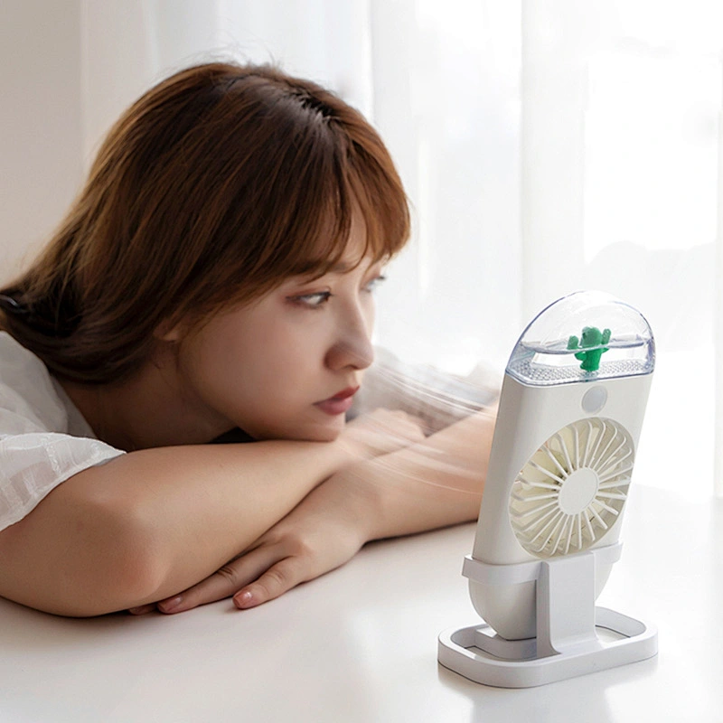 Cartoon Style Fan With Ambient Light Household Handheld Spray Fan Moisturizing And Humidifying Small Fan
