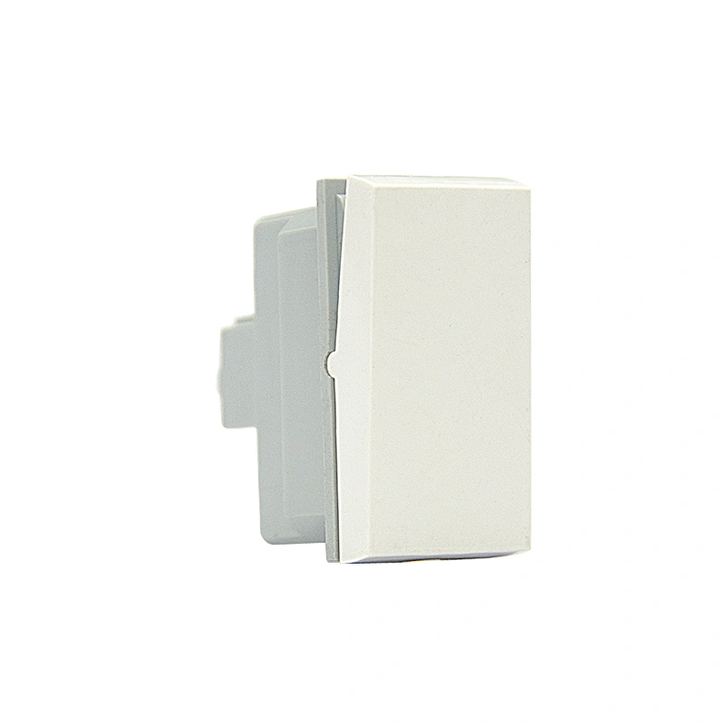 Sinoamigo F1/Electrical Switch 10A