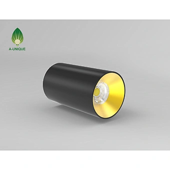 Surface Mounted LED Downlight