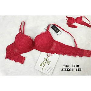 WSH3519
